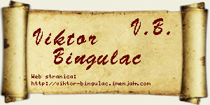 Viktor Bingulac vizit kartica